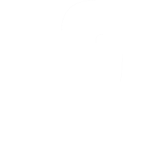 Facebook Seite Icon
